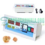 XM-18D AC 220V Full Automatic Egg Incubator Controller xm18d Thermostat In Pakistan