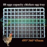 88 Egg Chicken Egg Incubator Hatching Tray In Pakistan
