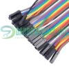 10Cm Hole to Hole DuPont Line 40pcs Jumper Wire Cable