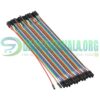 20Cm Hole to Hole DuPont Line 40pcs Jumper Wire Cable