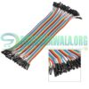 20Cm Hole to Hole DuPont Line 40pcs Jumper Wire Cable