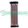 20Cm Pin to Hole DuPont Line 40pcs Jumper Wire Cable