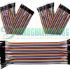 20Cm Pin to Hole DuPont Line 40pcs Jumper Wire Cable