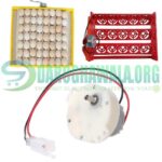 12V DC Low RPM Incubator Egg Turner Motor in Pakistan