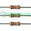 2.7 Ohm 14 Watt 5% Carbon Film Resistor Through Hole In Pakistan