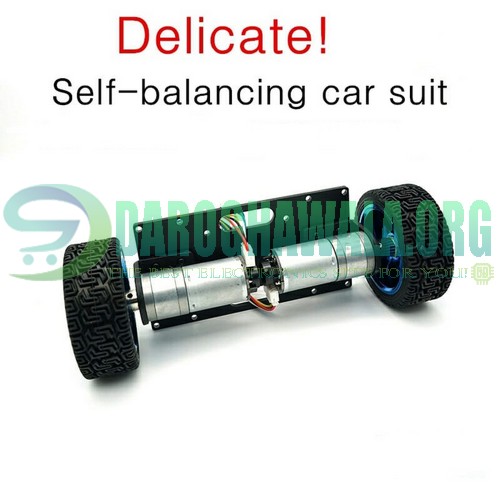 DIY 2WD 2 Wheel Self Balancing Balance Robot Car Chassis Kit In Pakistan