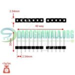 2.54mm Pitch 40 Pin 20mm Long Male Header Strip In Pakistan